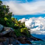 passaro marron ilhabela