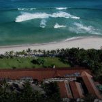 passaro marron maresias